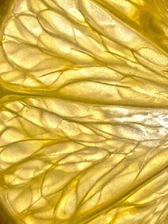 Derivado de la vitamina C